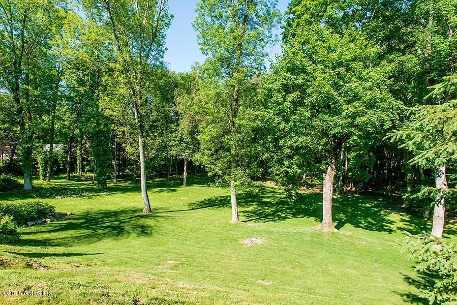108 Cutler Road Greenwich, CT 06831 - Photo 14 of 15 a view of a park with a tree