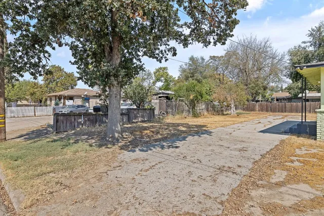 a view of park with tree