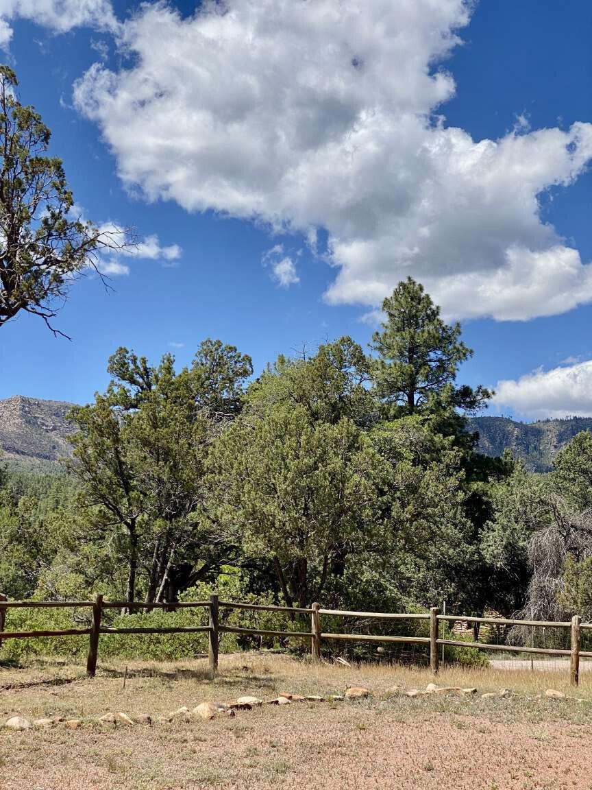 167 South Ranch Lane Payson, AZ 85541 - Photo 12 of 40 a view of a yard with wooden fence