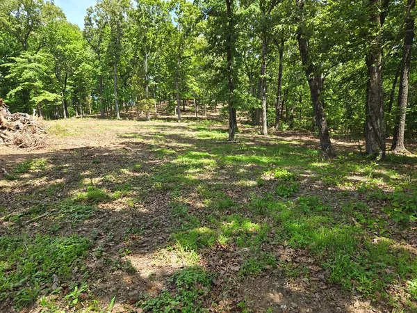 $144,900 | 730 Swan Bay Drive, Buchanan, TN 38222