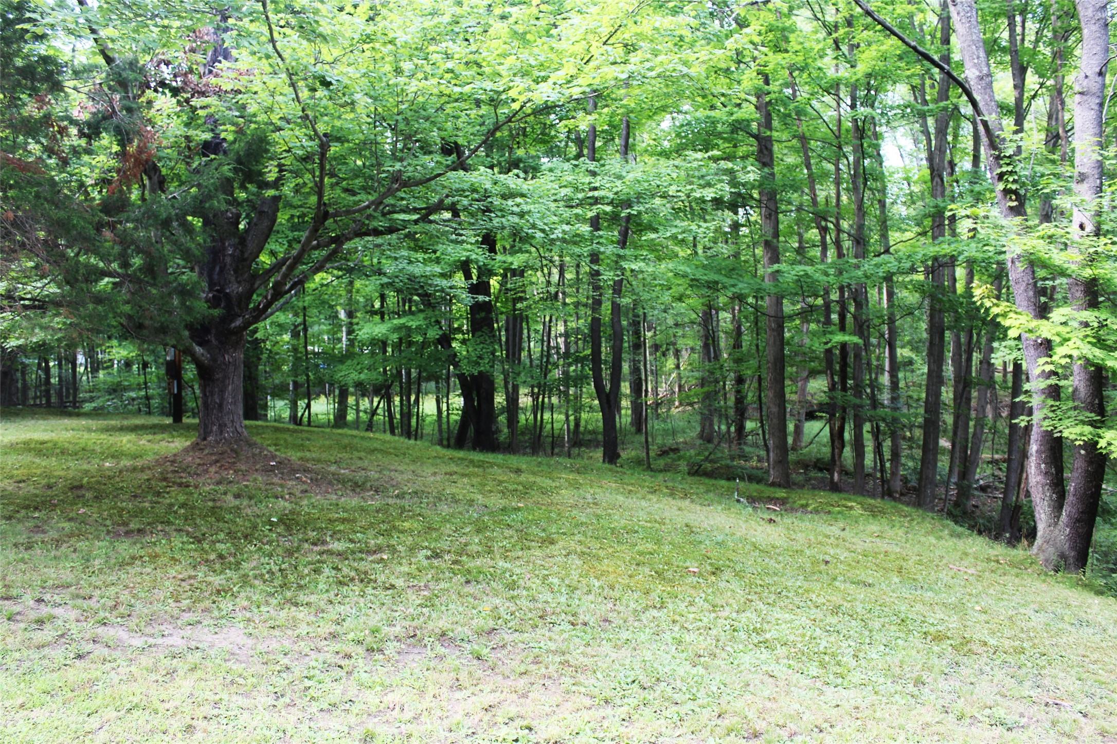 2119 Chippewa Road Jamestown, PA 16134 - Photo 16 of 16 Lot across the Road