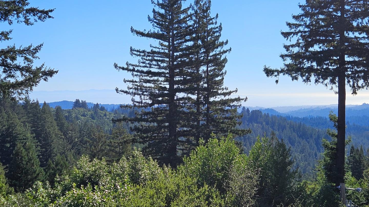 600 Ridge Top Road Los Gatos, CA 95033 - Photo 75 of 81 a view of a tree in a field with a tree in the background