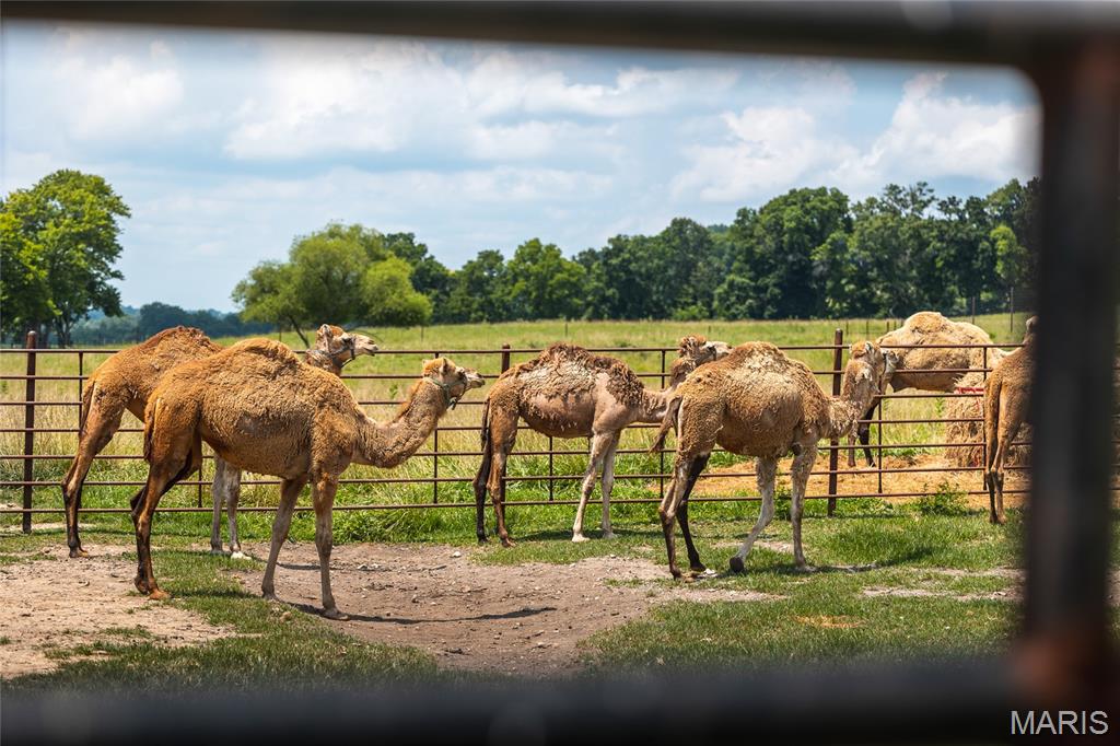 2924 Bess Hollow Road Kampsville, IL 62053 - Photo 43 of 96