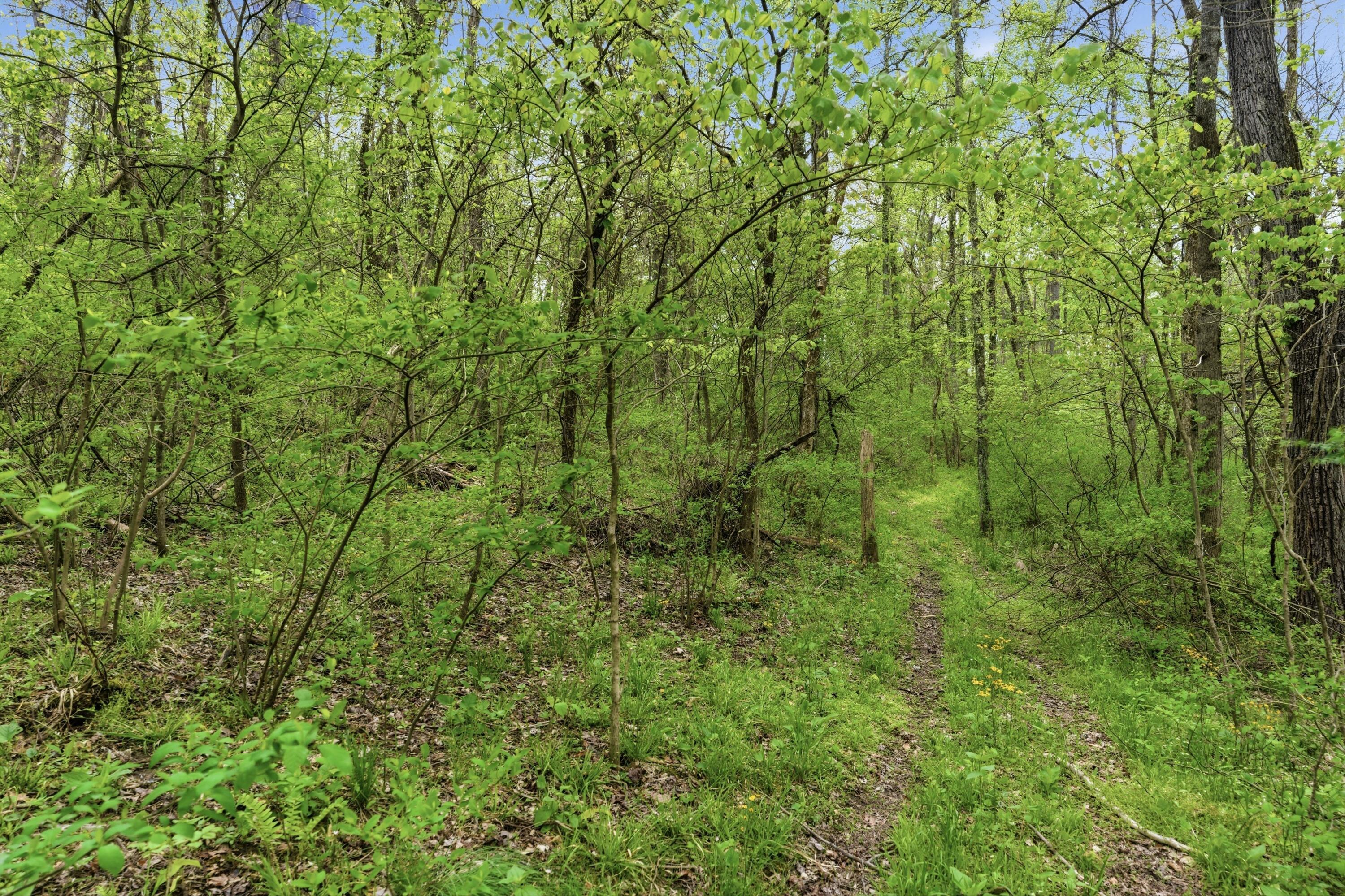 37011 Scout Road Logan, OH 43138 - Photo 46 of 46 46-print-136