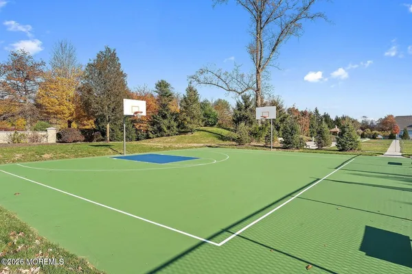 a view of yard with tree