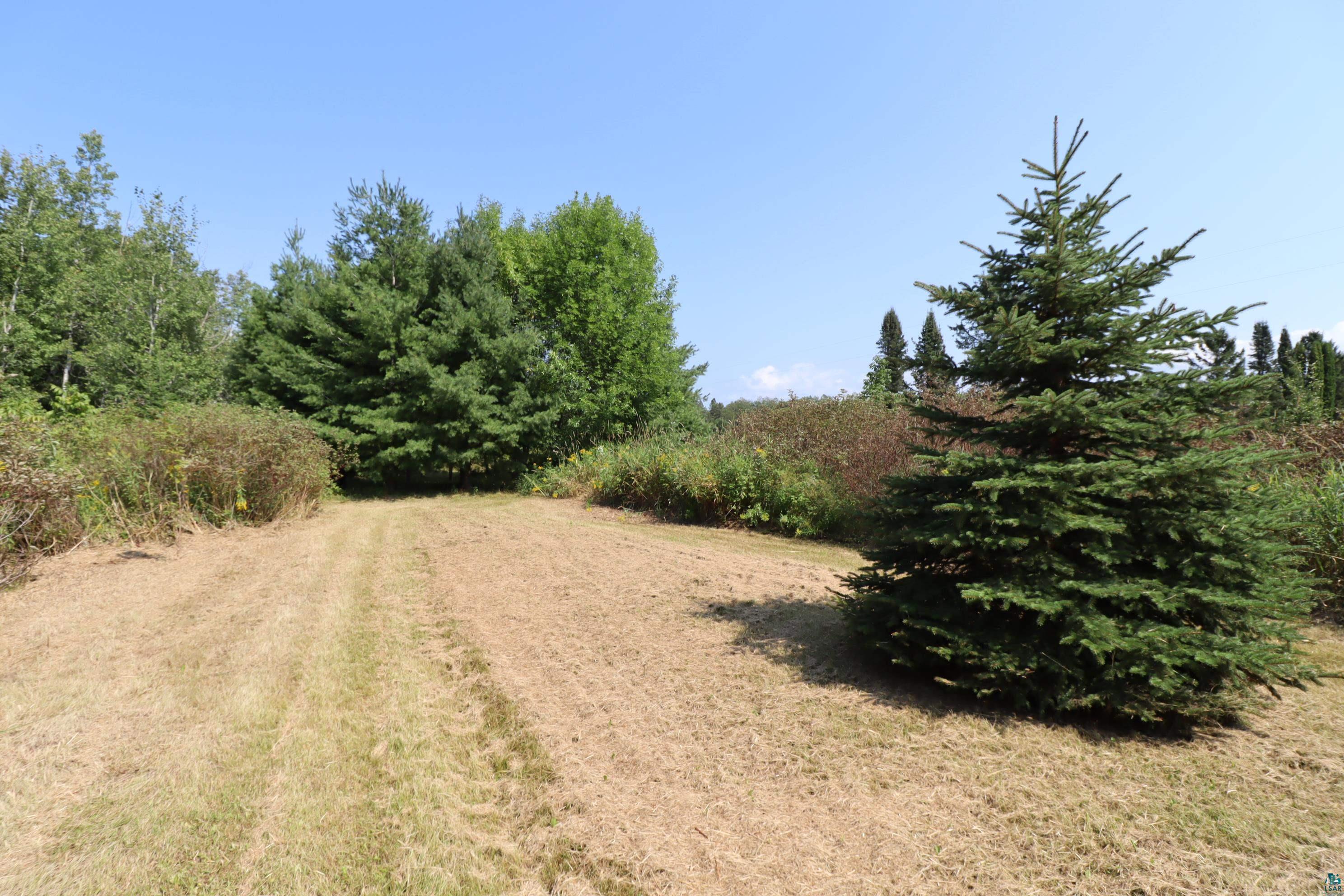 89595 Bark Point Road Herbster, WI 54844 - Photo 41 of 43 Back Yard
