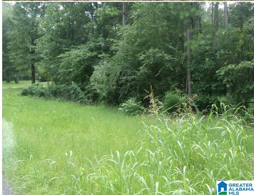 1493 Old Rock Creek Road, Unit 6 Bessemer, AL 35023 - Photo 1 of 1