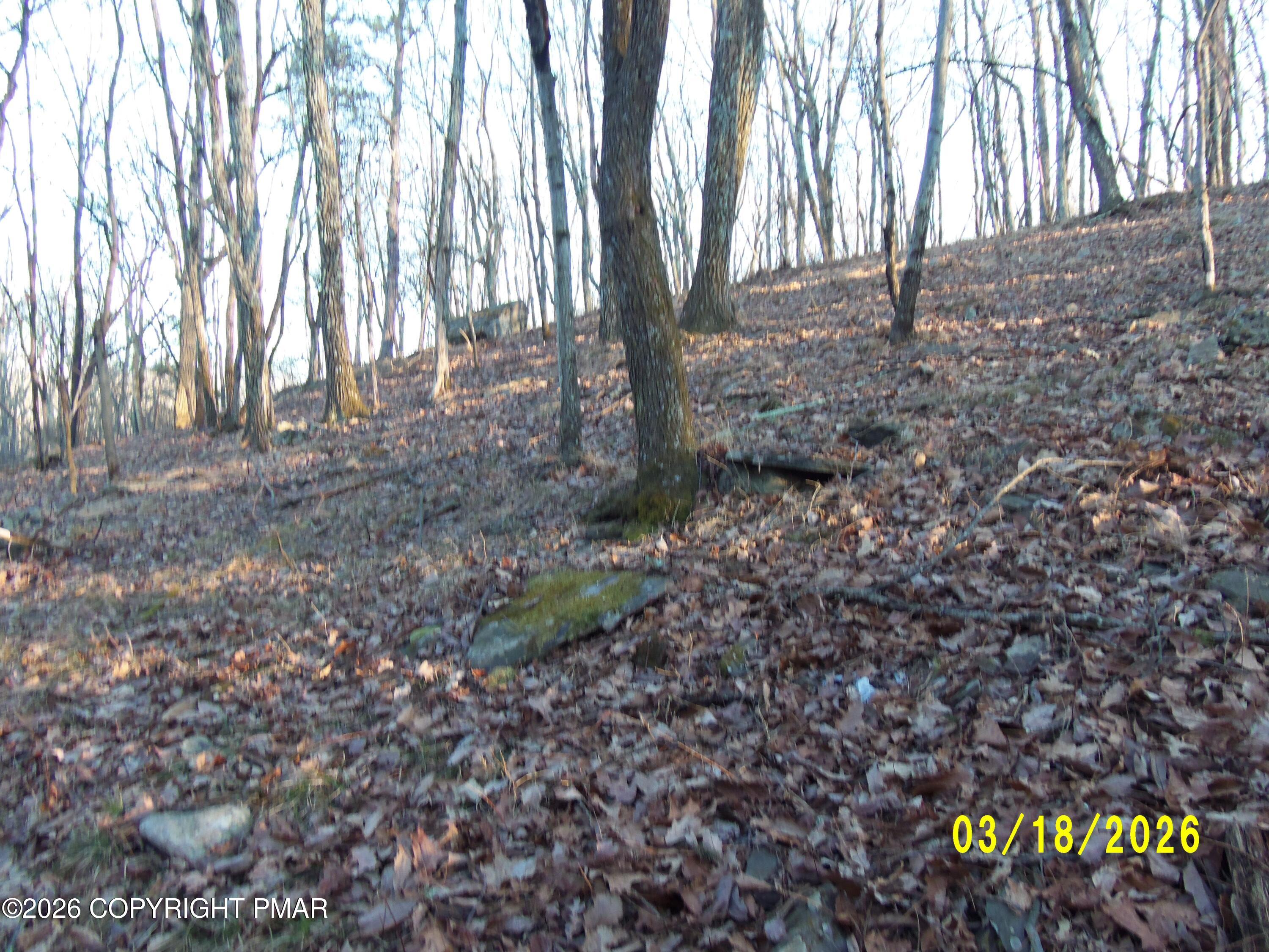 240 Powder Horn Road Henryville, PA 18332 - Photo 3 of 23 a view of outdoor space with deck and tree