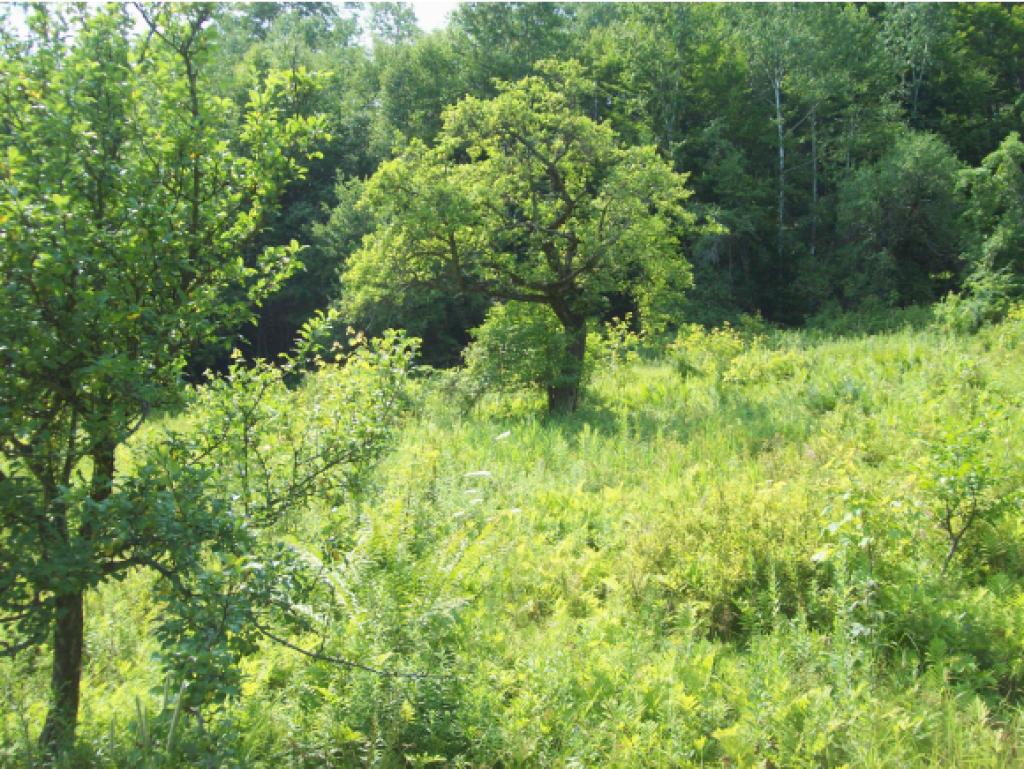 528 Brook Road Middlesex, VT 05602 - Photo 26 of 31 Gallery Image 26