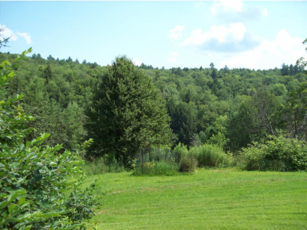 528 Brook Road Middlesex, VT 05602 - Photo 27 of 31 Gallery Image 27