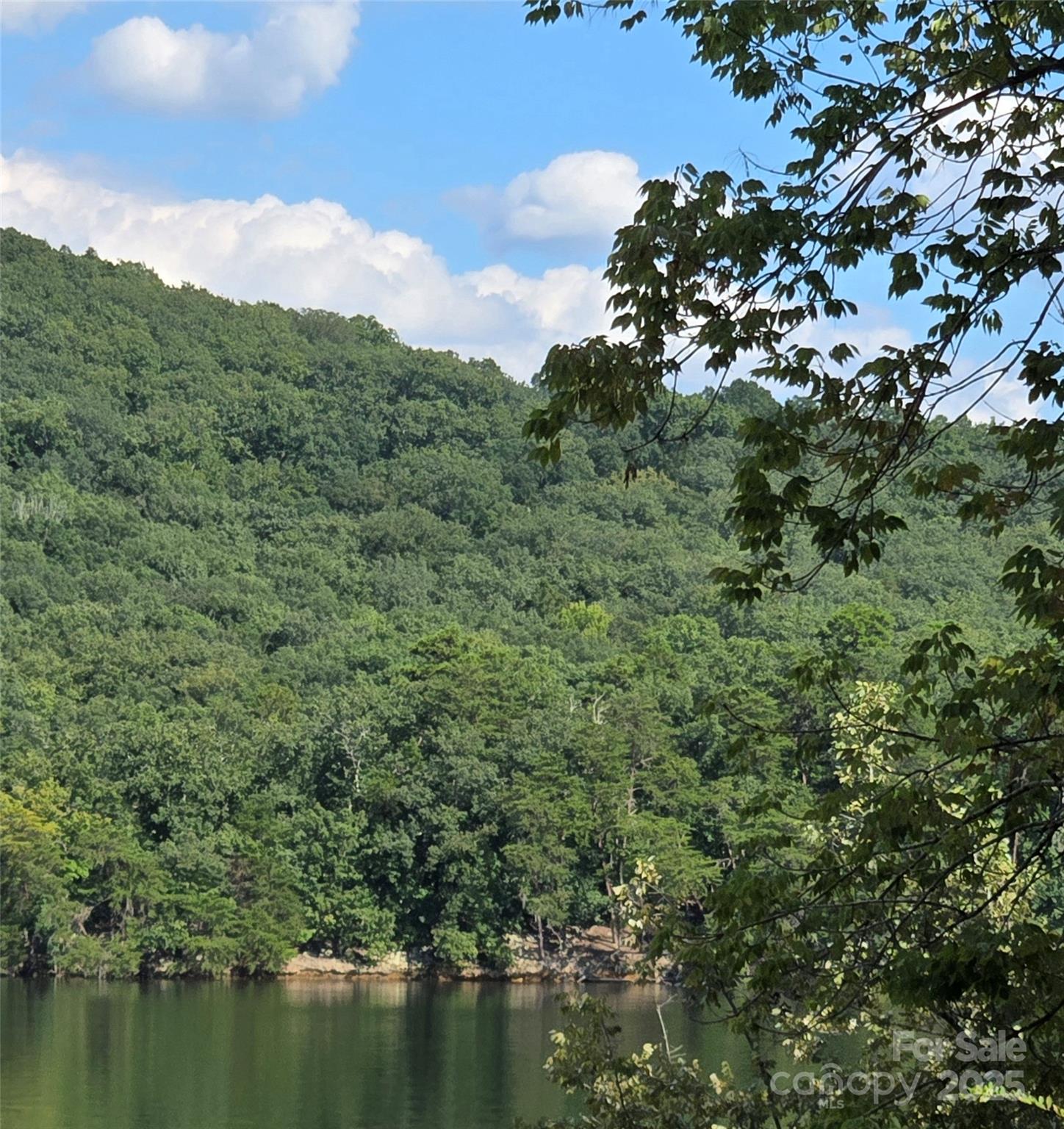 0 Shoreline Road, Unit 107 Badin Lake, NC 28127 - Photo 14 of 48 a view of a forest with a lake