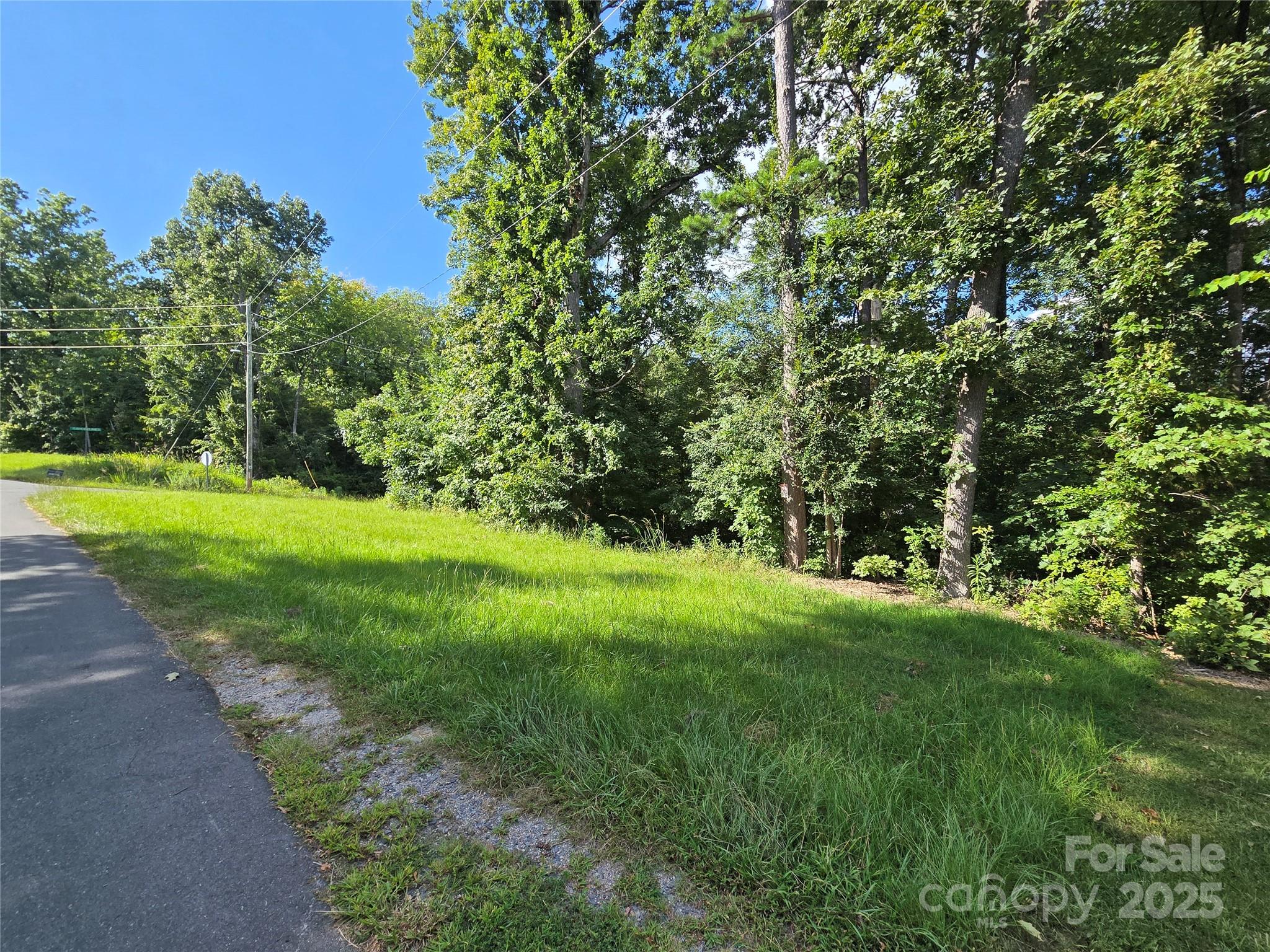 0 Shoreline Road, Unit 107 Badin Lake, NC 28127 - Photo 16 of 48 a view of a grassy field with trees