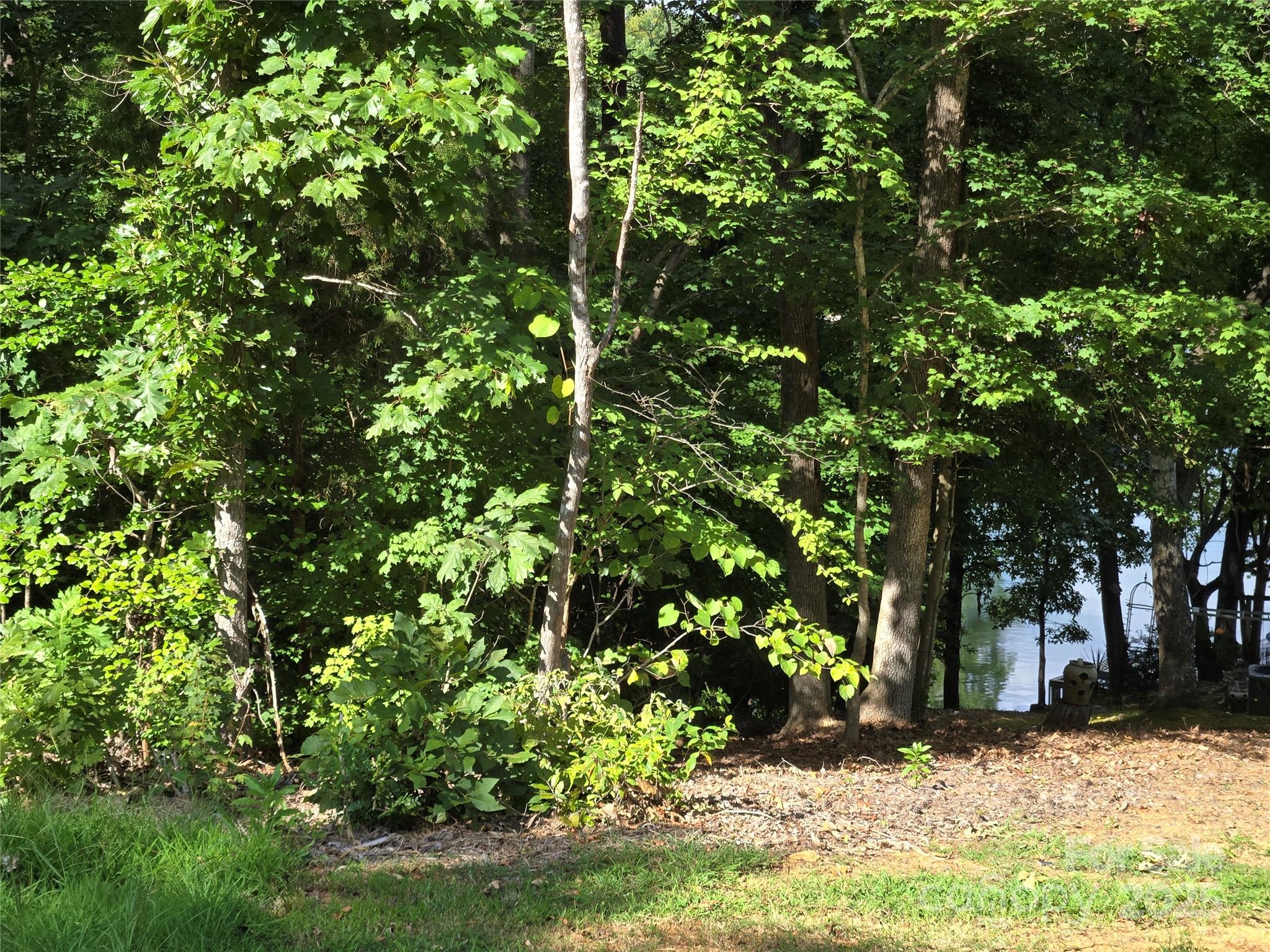 0 Shoreline Road, Unit 107 Badin Lake, NC 28127 - Photo 17 of 48 a view of a yard with plants and trees