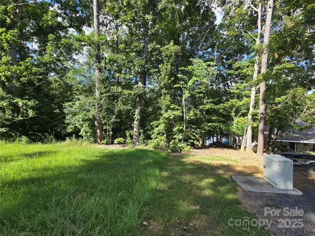 a view of a yard with a tree