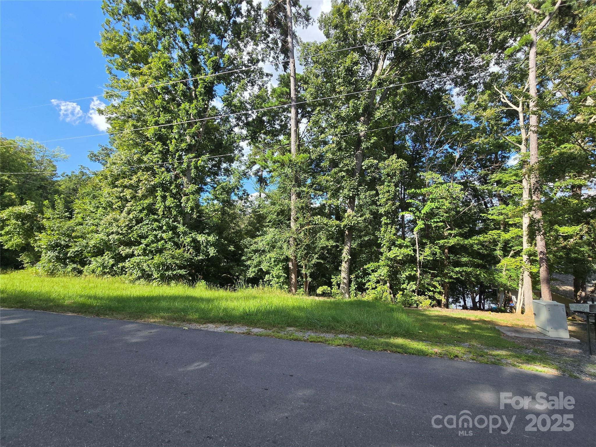 0 Shoreline Road, Unit 107 Badin Lake, NC 28127 - Photo 22 of 48 a view of a yard with a tree