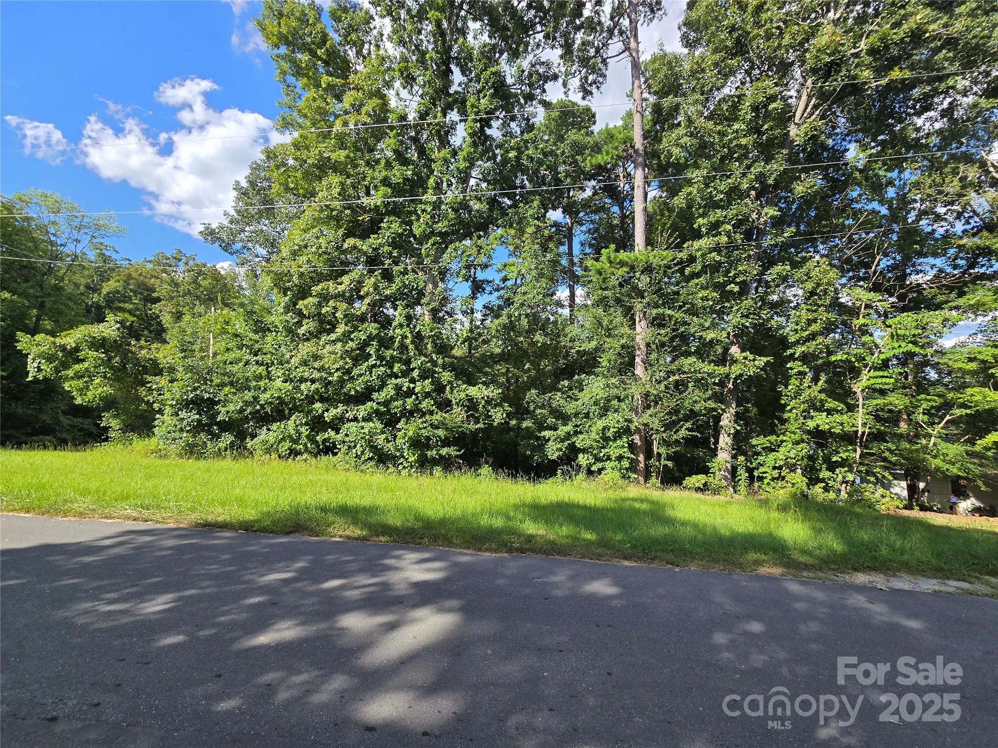 0 Shoreline Road, Unit 107 Badin Lake, NC 28127 - Photo 23 of 48 a view of a yard with plants and trees
