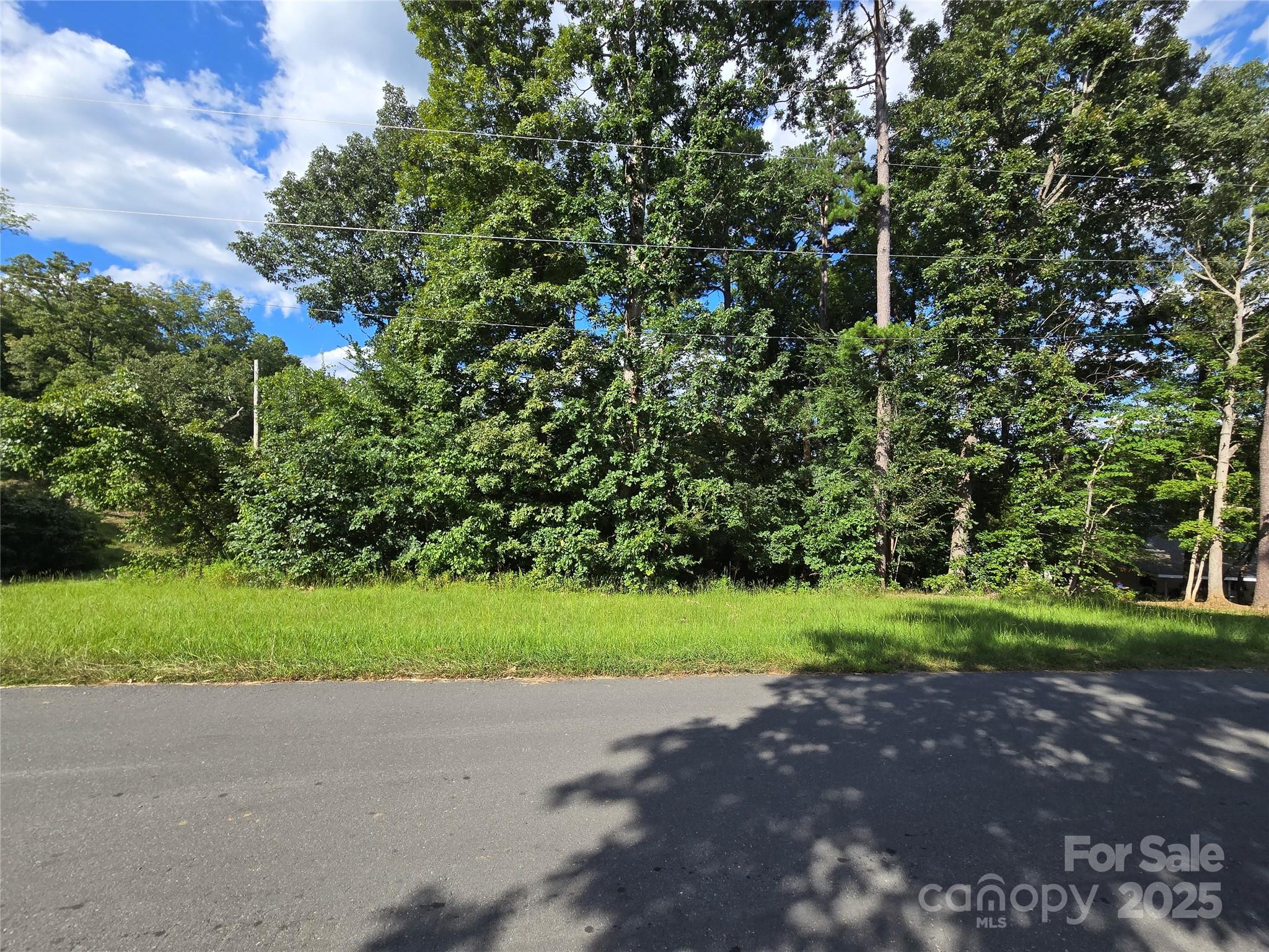 0 Shoreline Road, Unit 107 Badin Lake, NC 28127 - Photo 25 of 48 a view of a yard with plants and trees