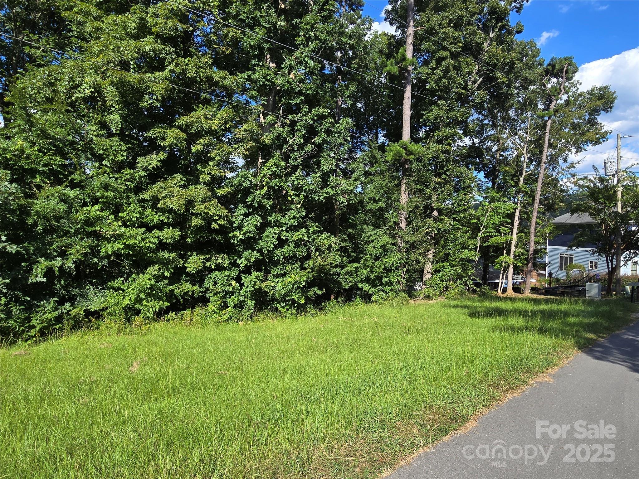 0 Shoreline Road, Unit 107 Badin Lake, NC 28127 - Photo 26 of 48 a view of a trees with a yard