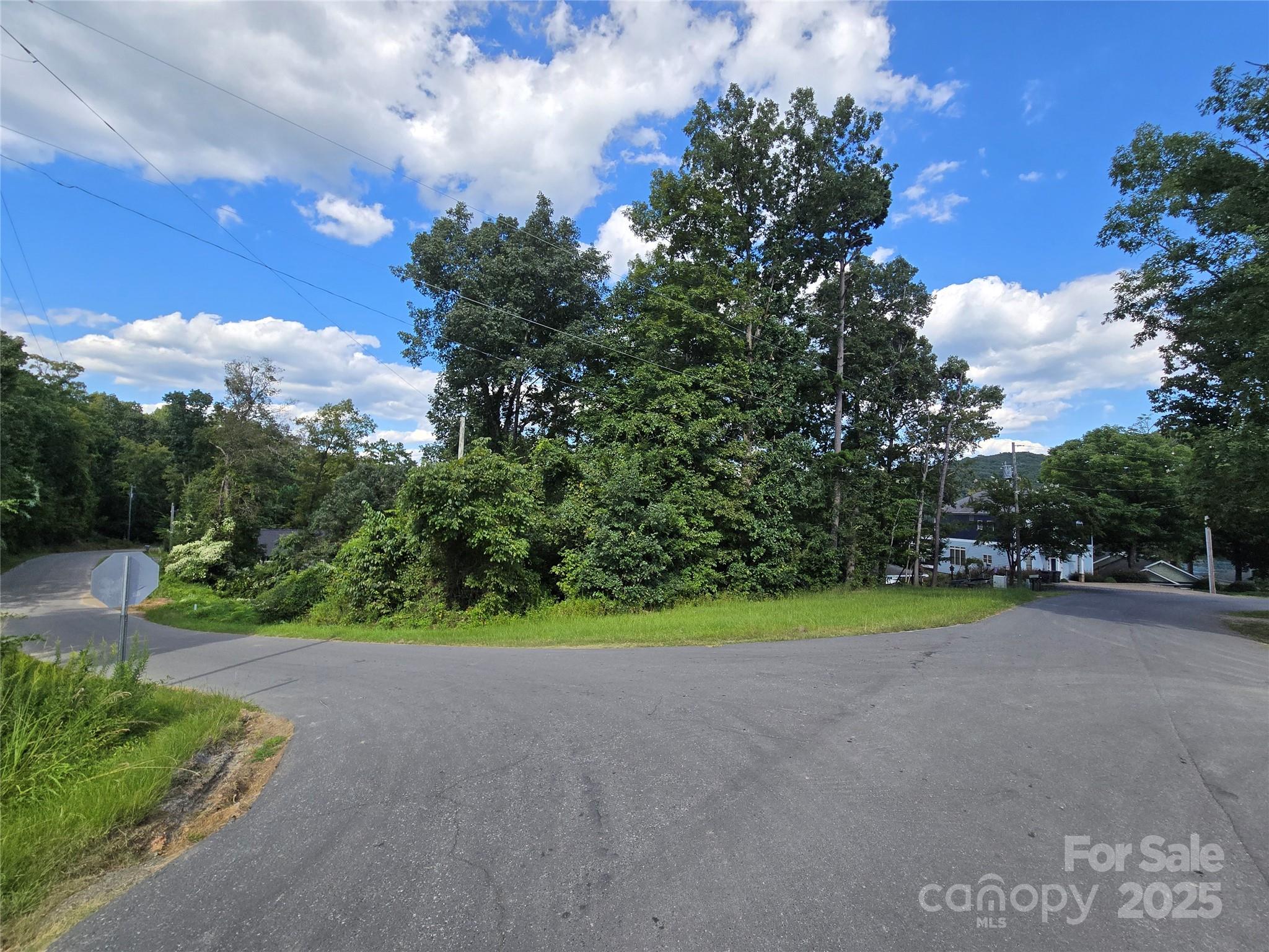 0 Shoreline Road, Unit 107 Badin Lake, NC 28127 - Photo 29 of 48 a view of a garden with an tree