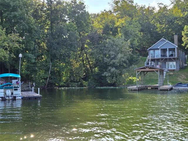 a view of a backyard with plants and trees