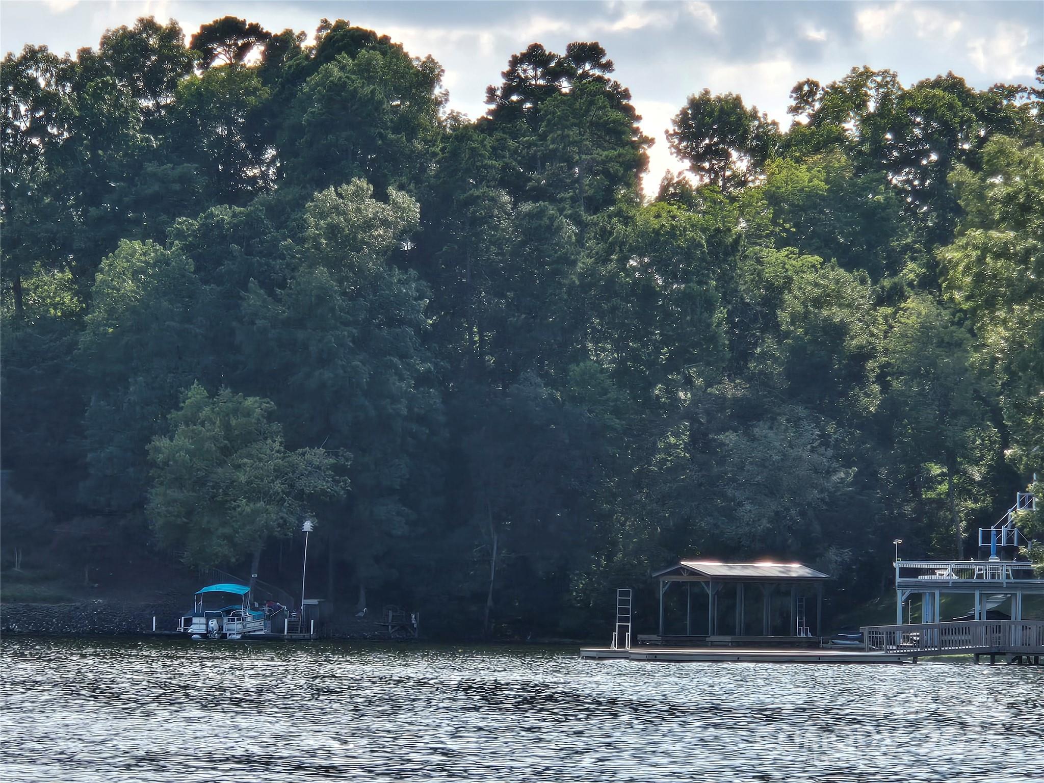 0 Shoreline Road, Unit 107 Badin Lake, NC 28127 - Photo 38 of 48 a view of a backyard with plants and trees