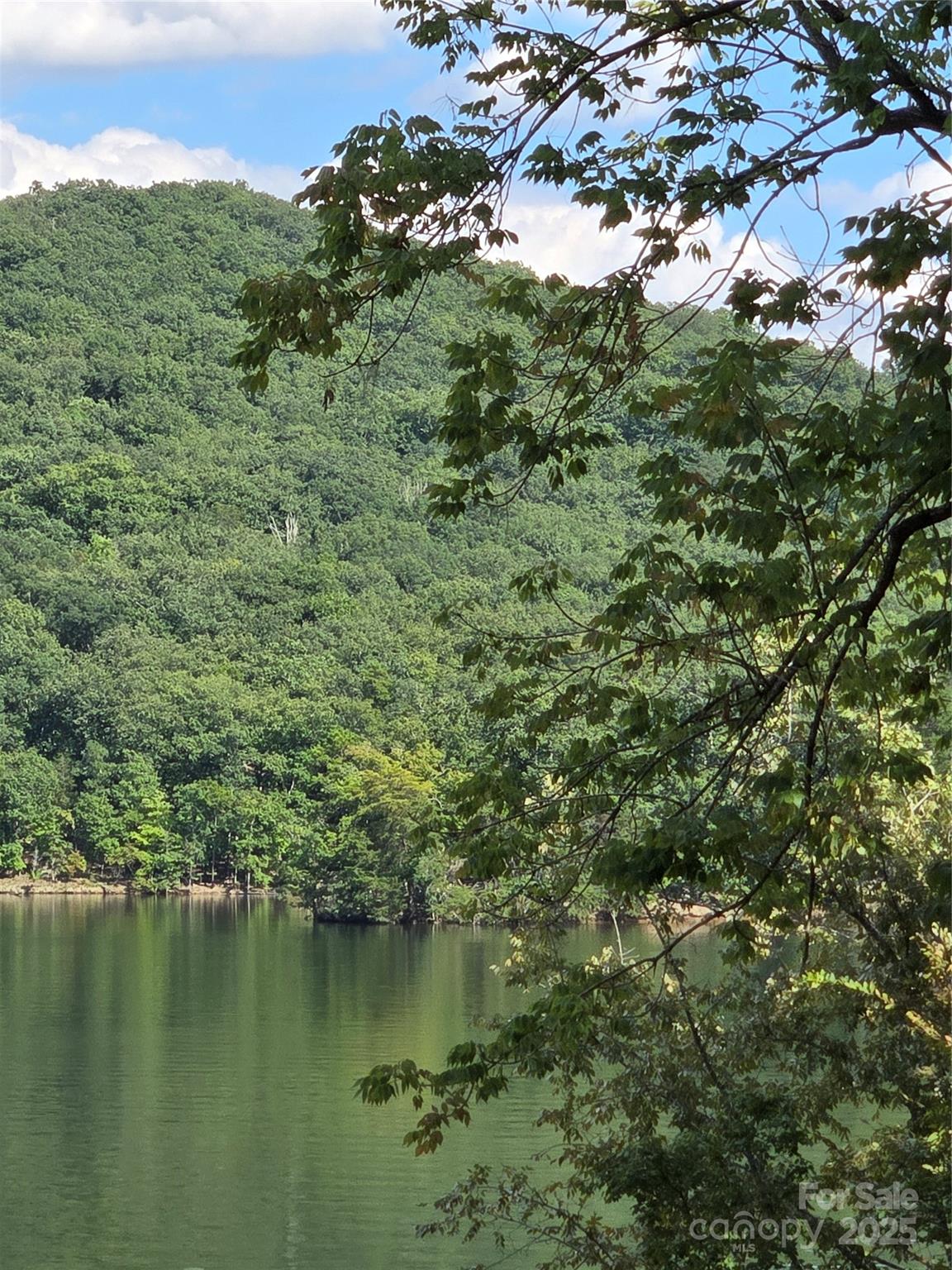 0 Shoreline Road, Unit 107 Badin Lake, NC 28127 - Photo 6 of 48 a view of a lake with houses