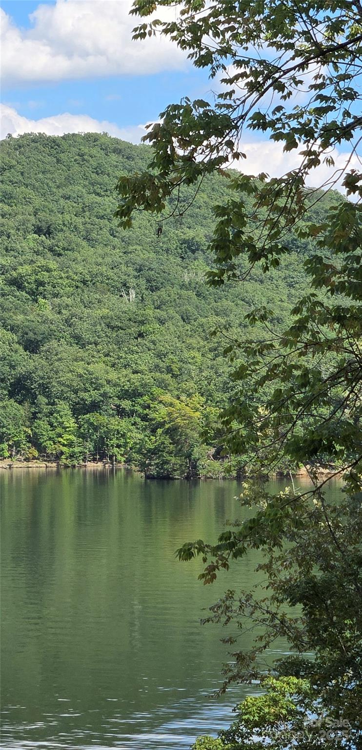 0 Shoreline Road, Unit 107 Badin Lake, NC 28127 - Photo 7 of 48 a view of a lake view