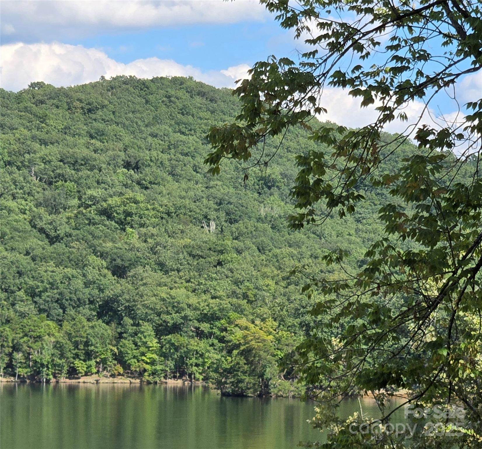 0 Shoreline Road, Unit 107 Badin Lake, NC 28127 - Photo 8 of 48 a view of a forest with a lake