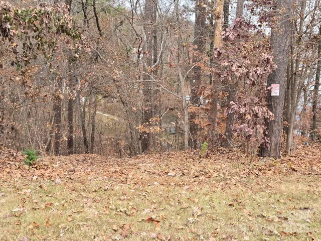 a view of a backyard that has a large tree
