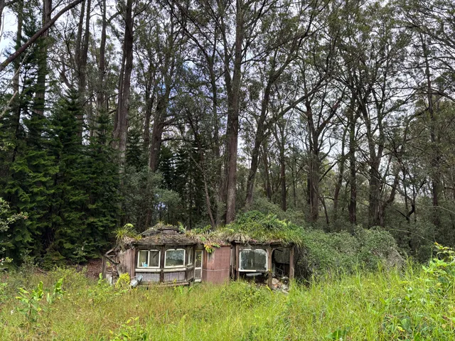 a view of a two chairs in a garden