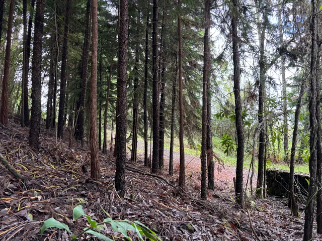 a view of backyard with outdoor space