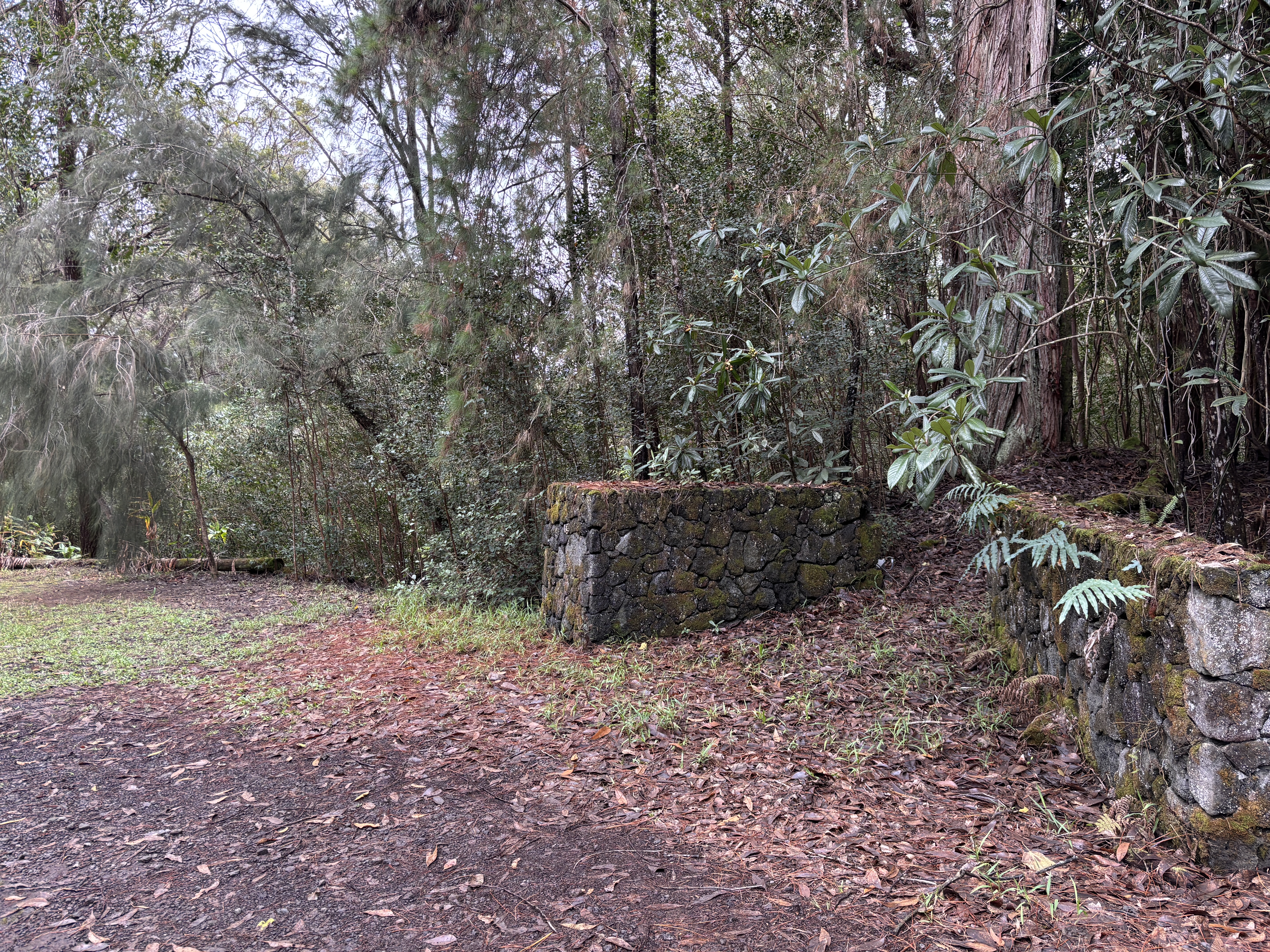 46-3989 Kapuna Road Honokaa, HI 96727 - Photo 19 of 24 a view of backyard with outdoor space