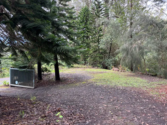 a view of outdoor space and yard