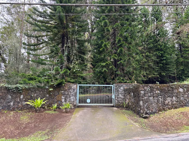 a view of outdoor space and yard