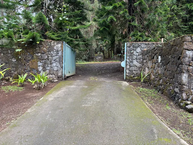 a close up of a wall