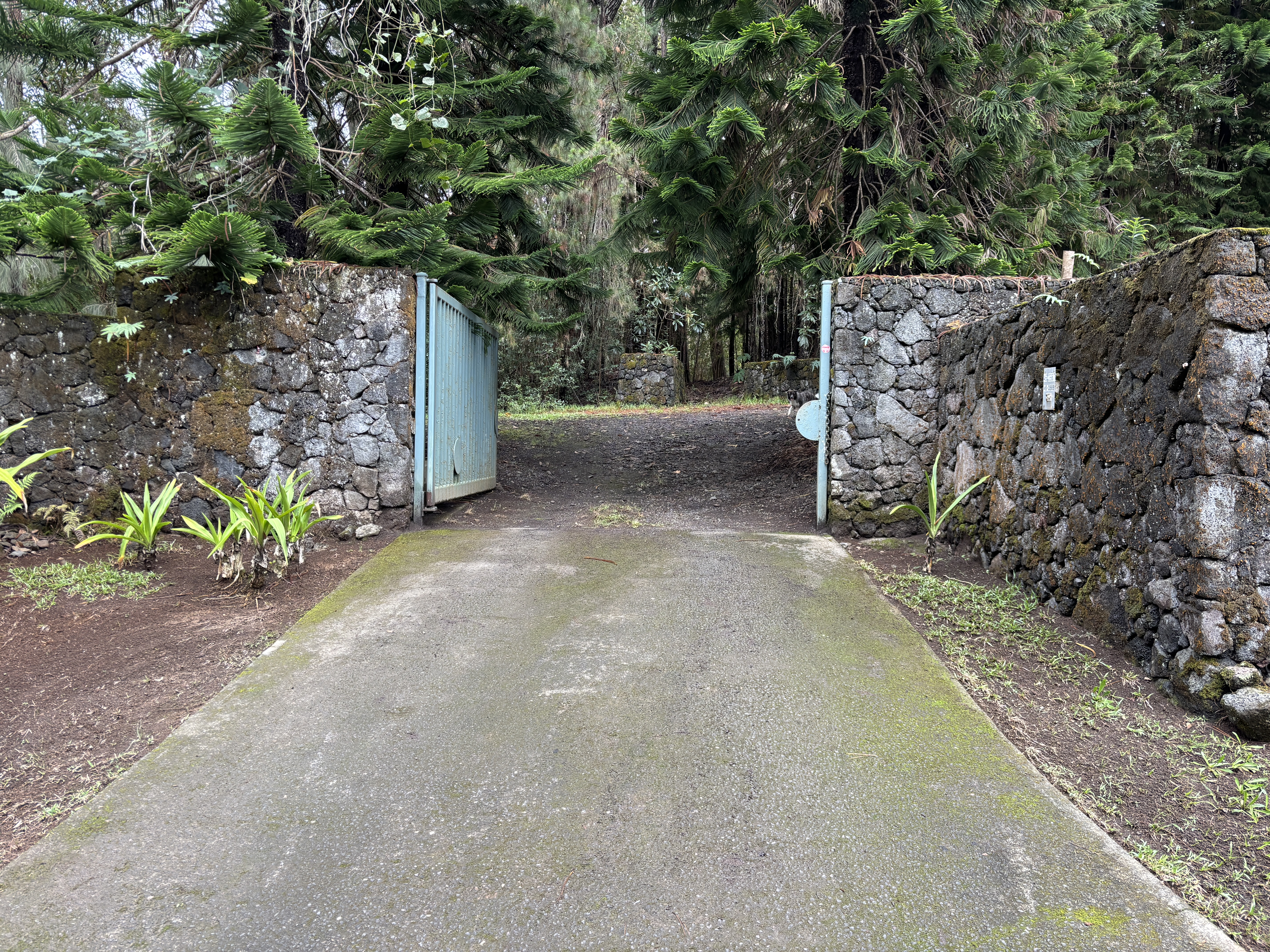 46-3989 Kapuna Road Honokaa, HI 96727 - Photo 23 of 24 a view of outdoor space and yard