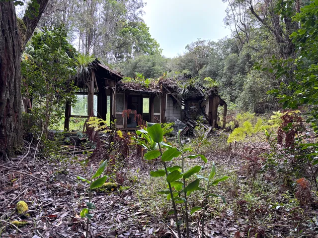 a view of a house with a yard and a garden