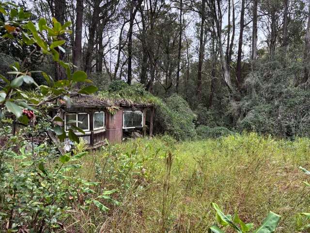 a garden view with a seating space