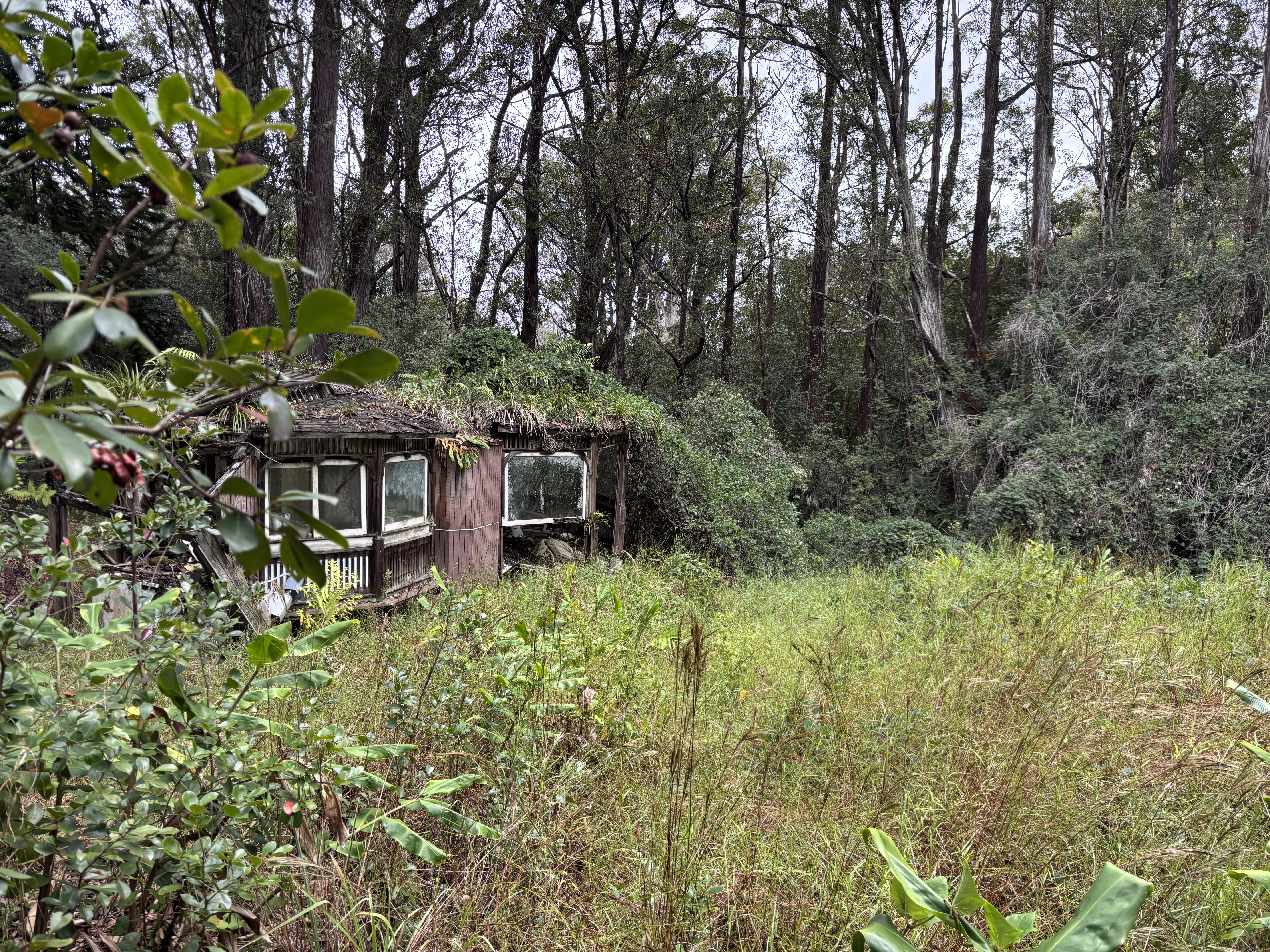 46-3989 Kapuna Road Honokaa, HI 96727 - Photo 4 of 24 a garden view with a seating space