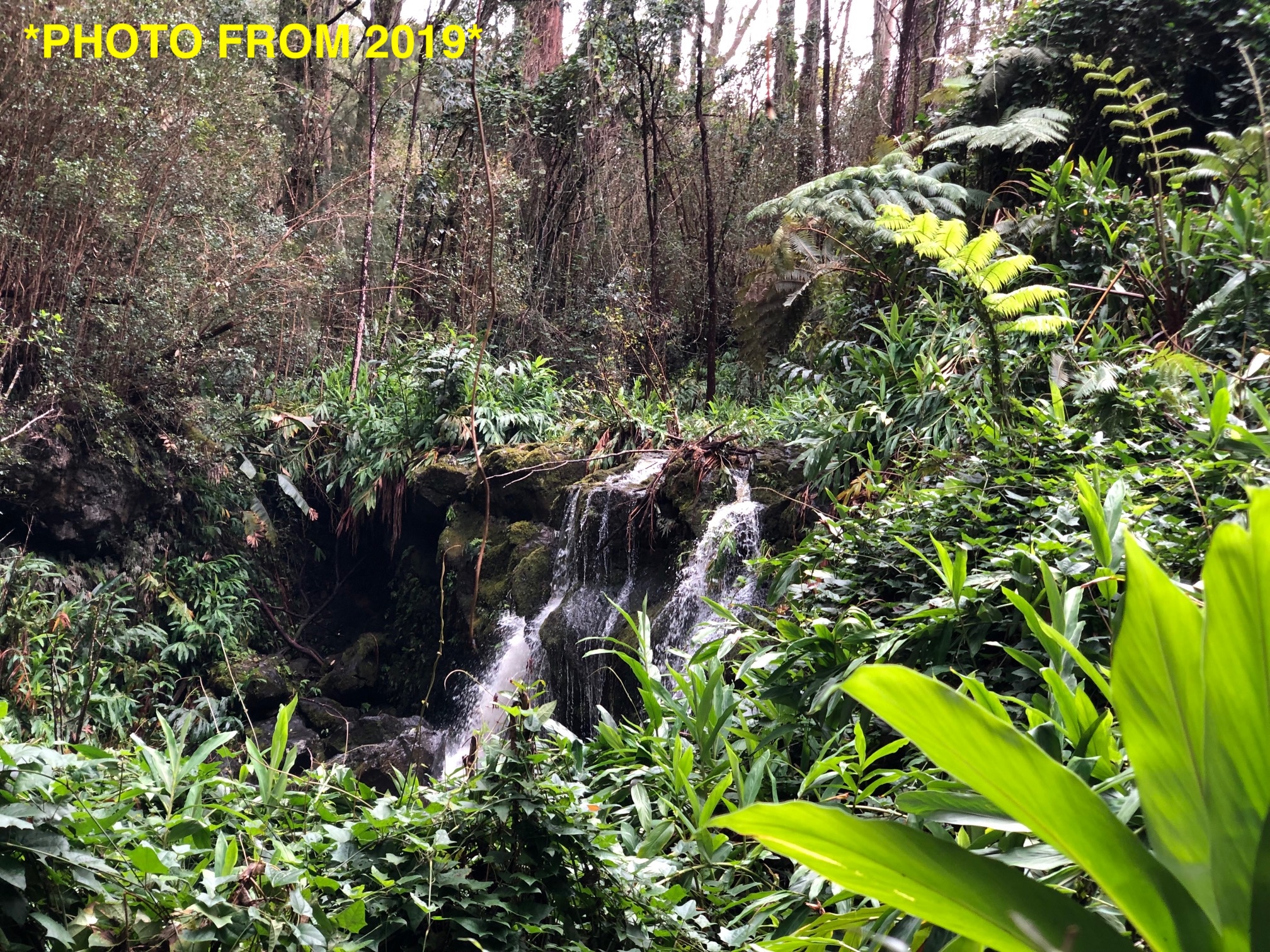 46-3989 Kapuna Road Honokaa, HI 96727 - Photo 6 of 24