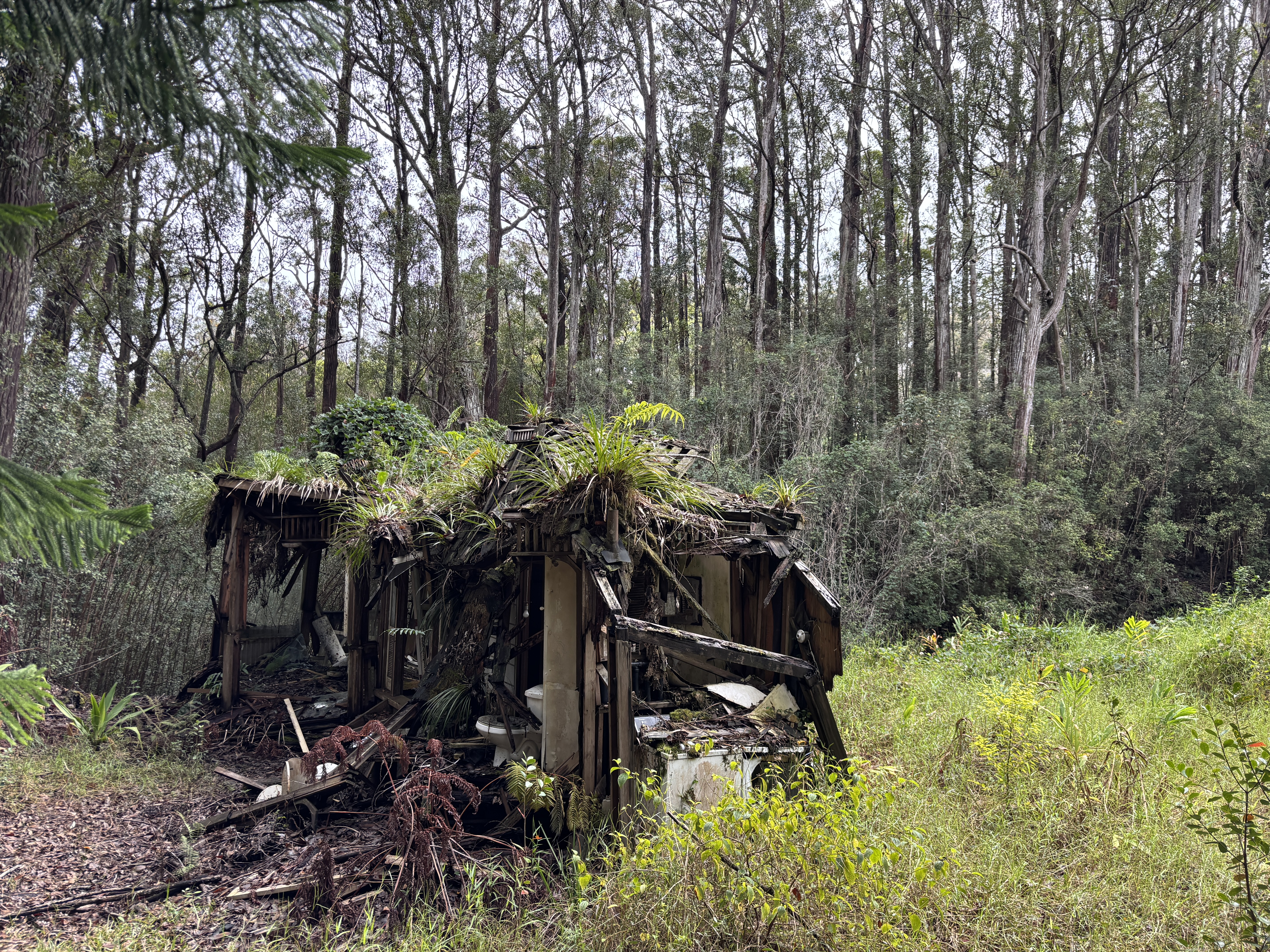 46-3989 Kapuna Road Honokaa, HI 96727 - Photo 9 of 24 a view of outdoor sitting area