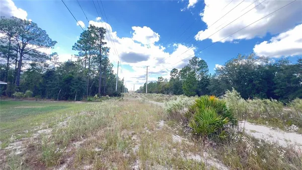 a view of a yard with an tree
