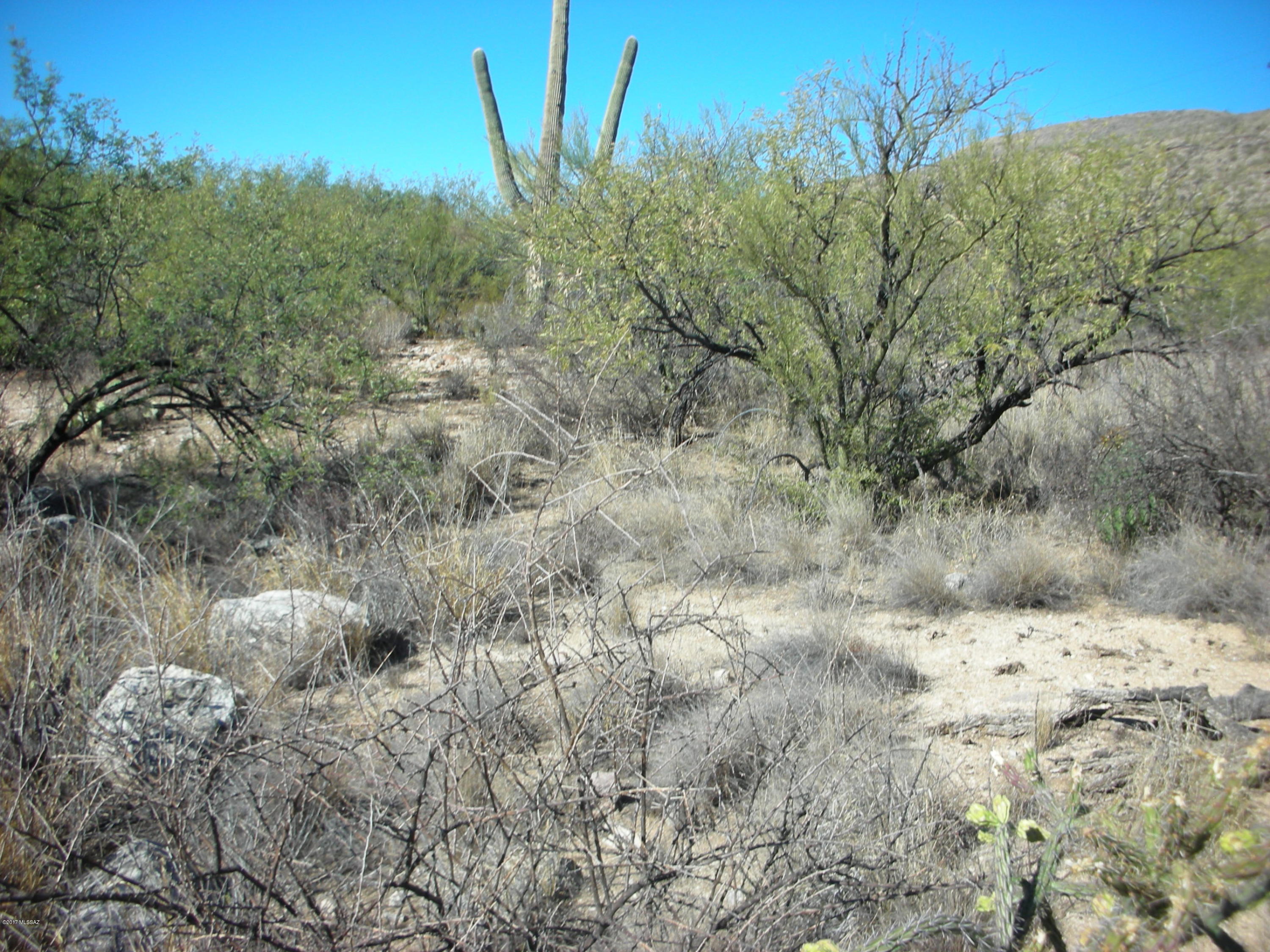5240 North Mt Lemmon Short Road, Unit 5 Tucson, AZ 85749 - Photo 7 of 19