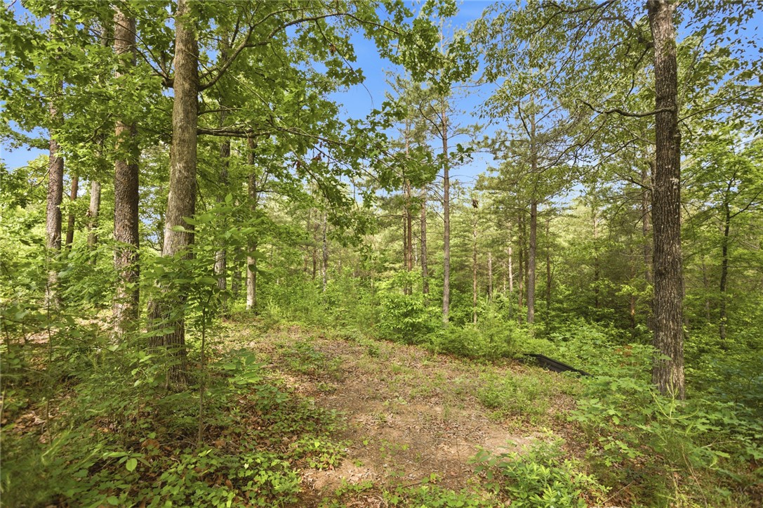 Lot 108 Harbor Ridge Road Seneca, SC 29672 - Photo 10 of 13 This tranquil wooded lot offers a private setting, perfect for your secluded retreat.