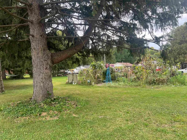 a view of a garden with a tree