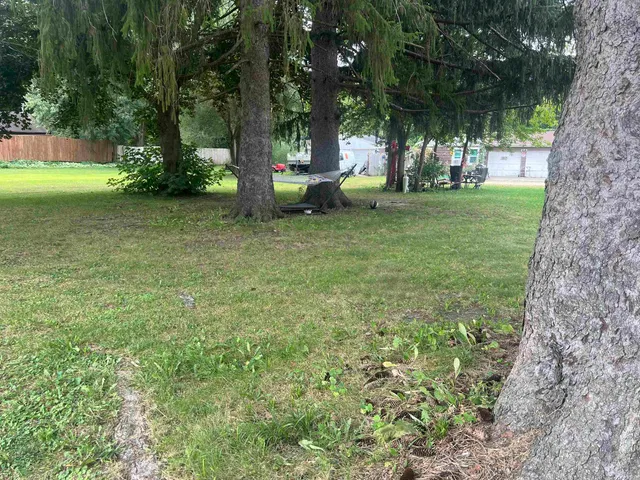 a view of a garden with an outdoor space