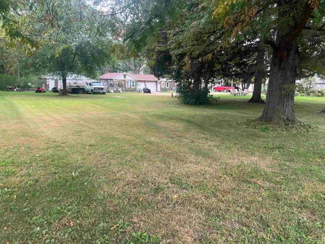 a view of a park with large trees