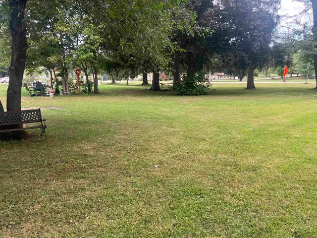 a view of a yard with a trees