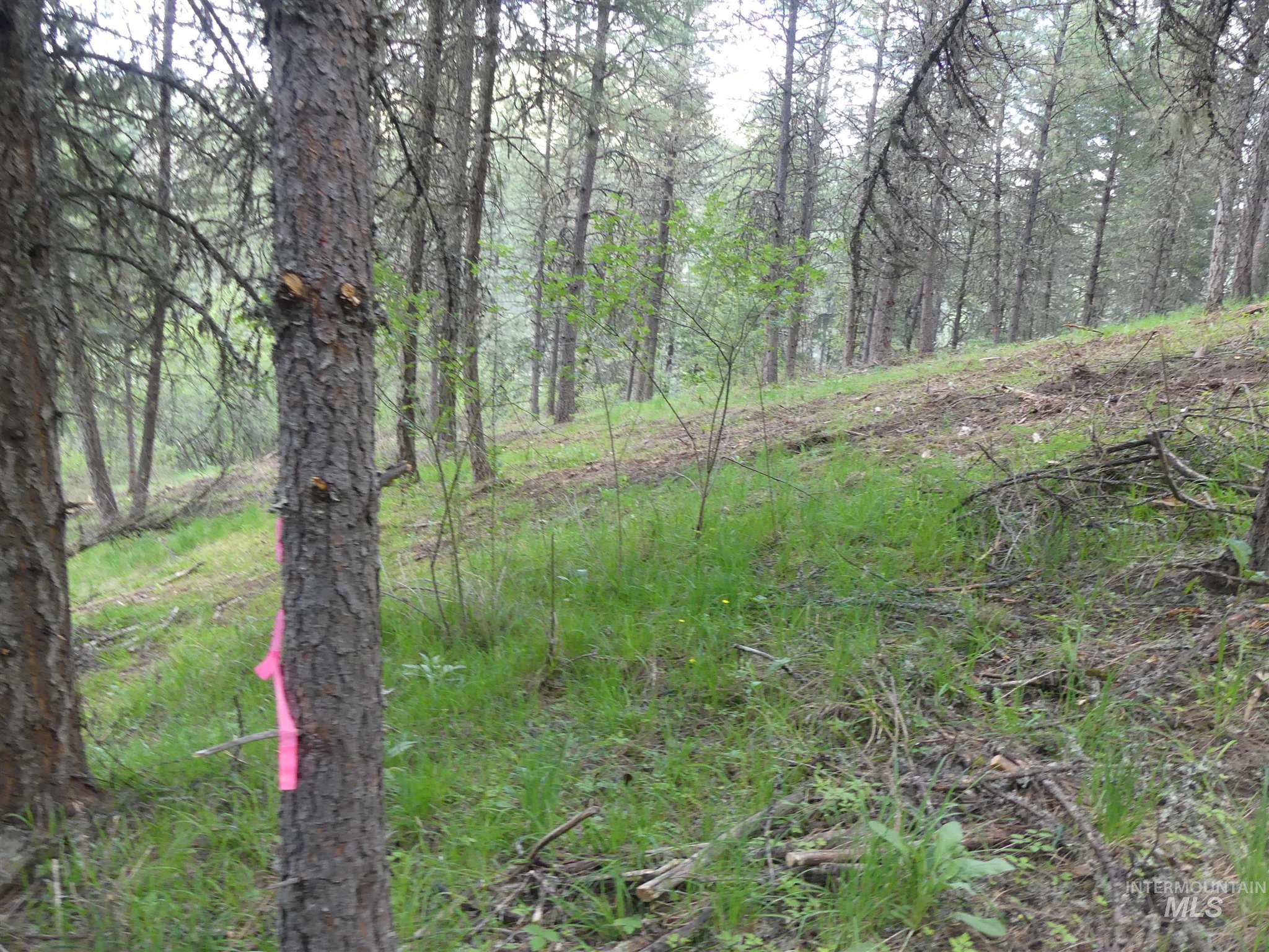 22743 Old Melrose Grade Road Peck, ID 83545 - Photo 14 of 45