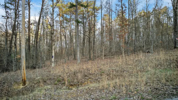 $68,000 | 0 Brentwood Lane, Dunlap, TN 37327